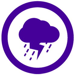 Lions International Disaster Relief Global Cause logo