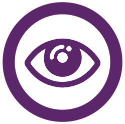 Lions International Vision Global Cause logo